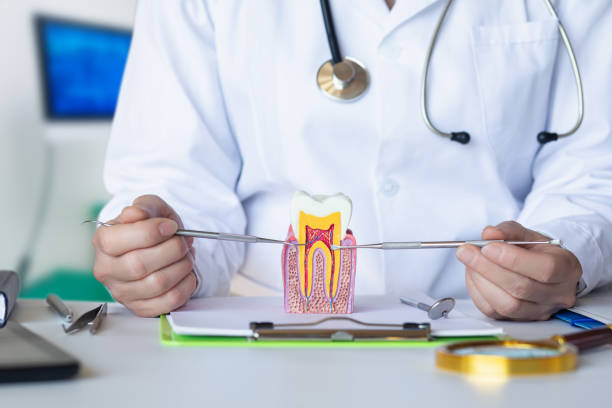 Best Emergency Root Canal Treatment in Newport, WA